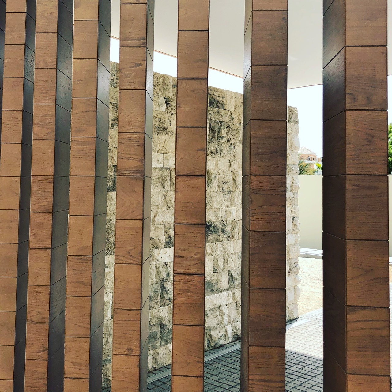 阿联酋乌姆阿尔谢夫山地现代豪华别墅设计-2