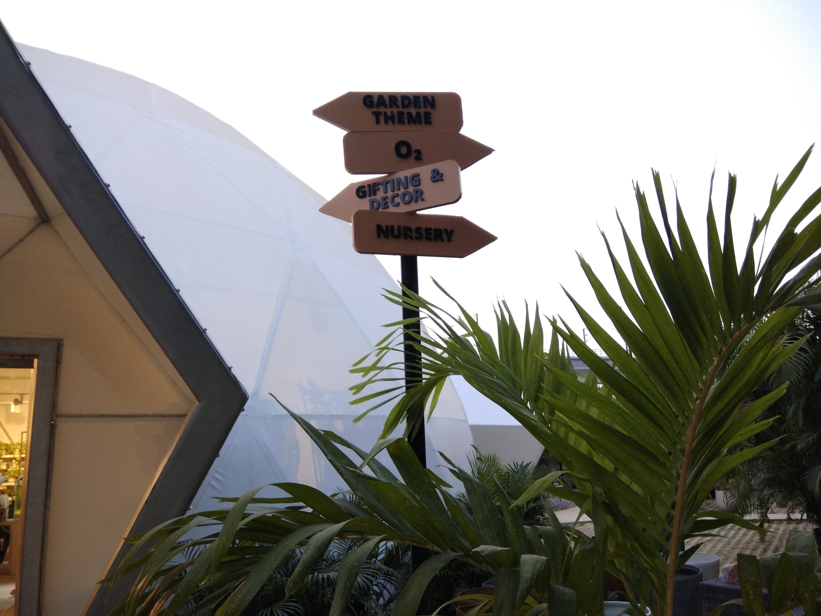 绿色氧吧 NG Studio-4