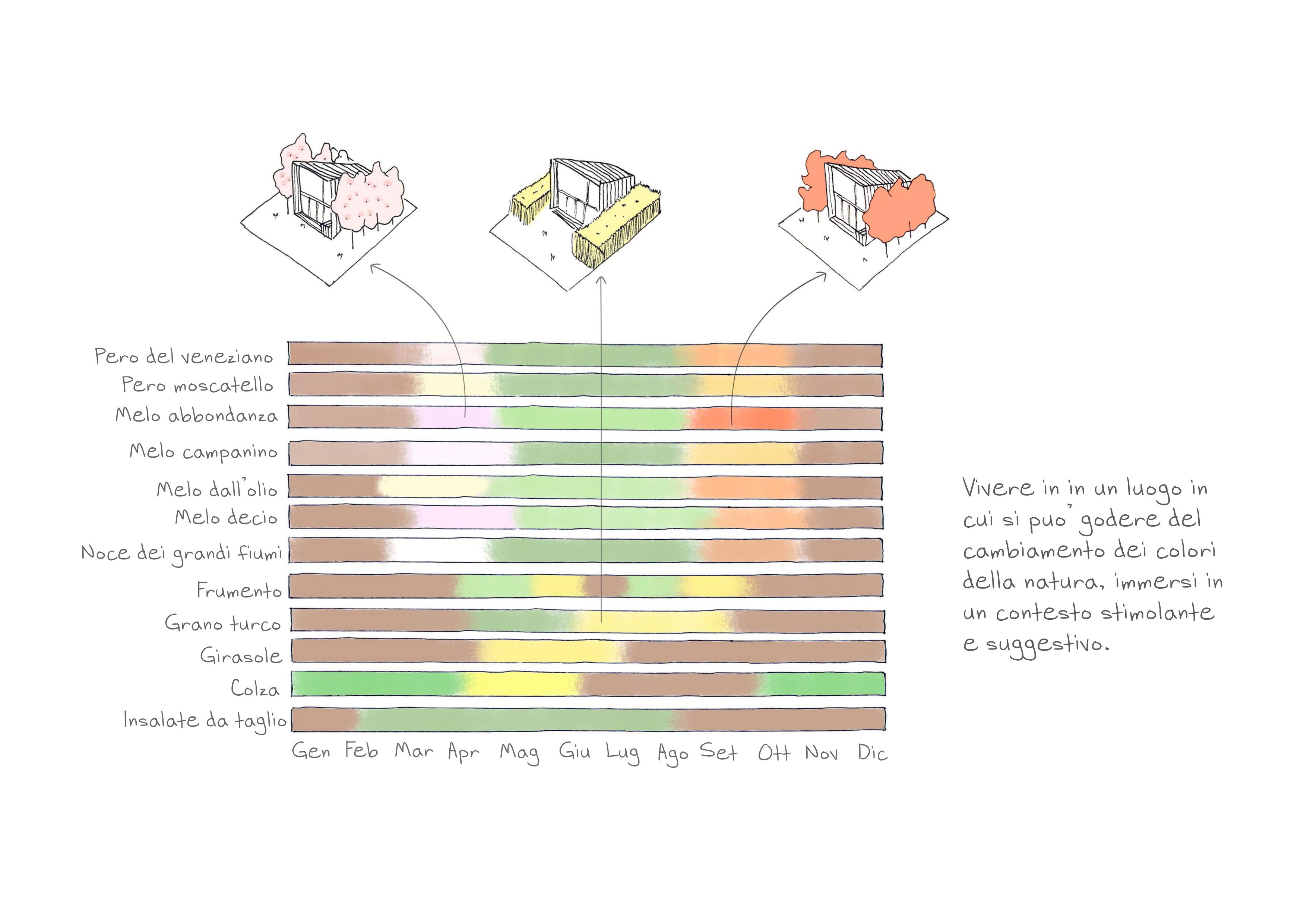 威尼斯慢生活体验 · 环保可持续的 360 度用户体验设计-10