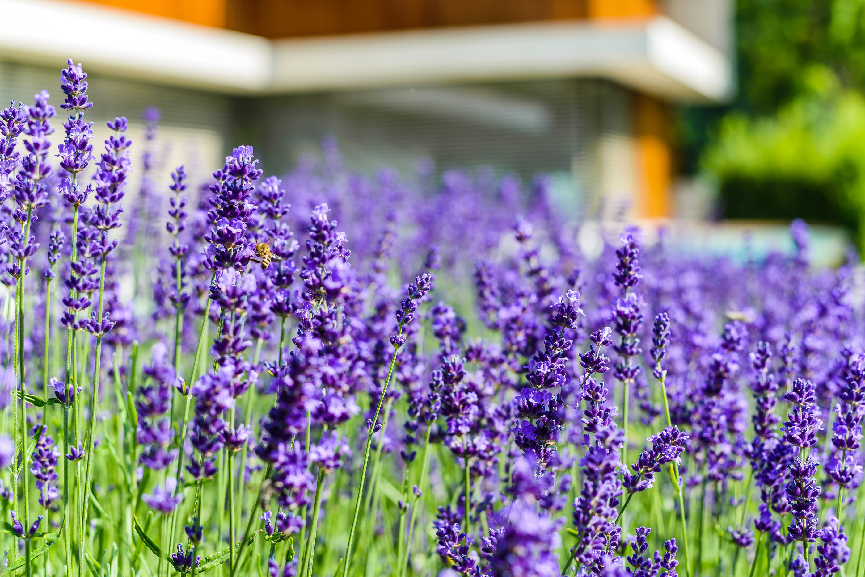 Modern villa shading by Krüllung-13