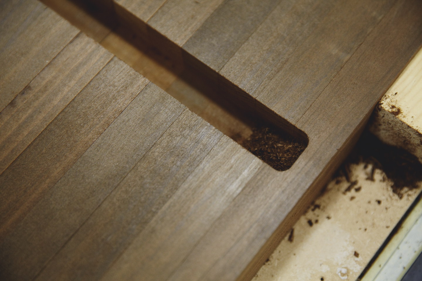 伦敦 Chisenhale 小学空中游乐场 | 创新设计,激发儿童创造力-16