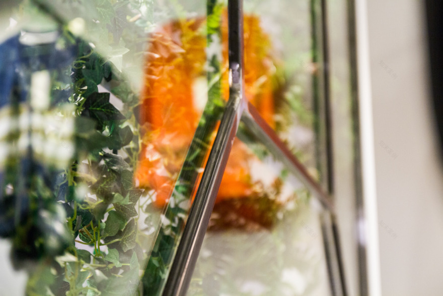 绿意盎然的空间艺术-17