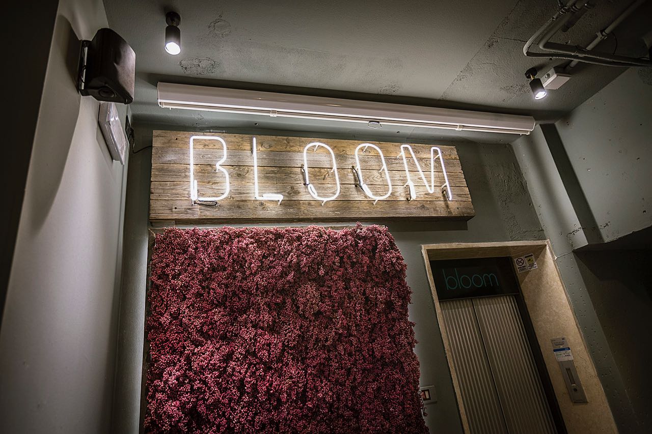 布鲁姆咖啡馆-17