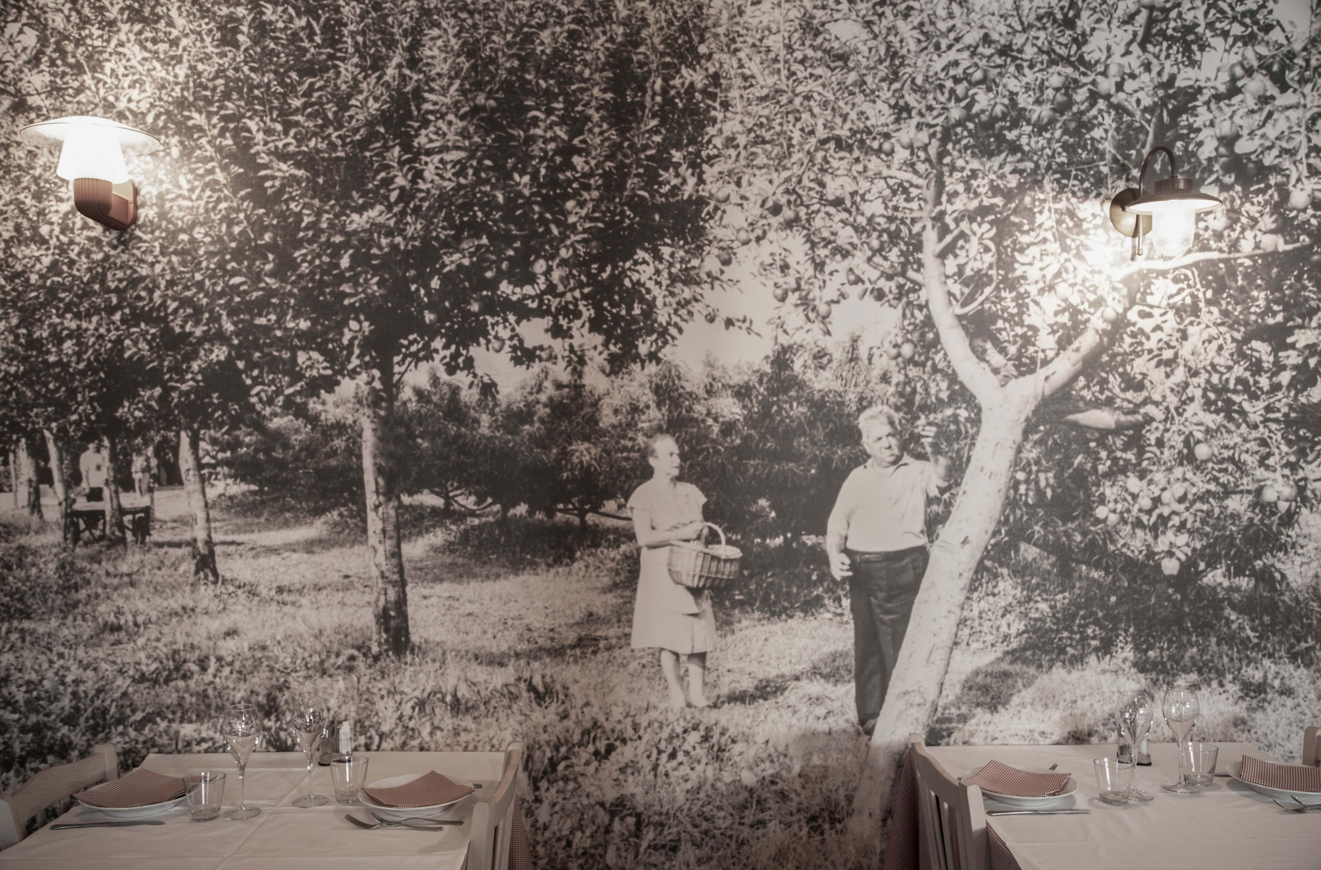 2015 年完成的 La Fiorita 餐厅室内设计案例-6