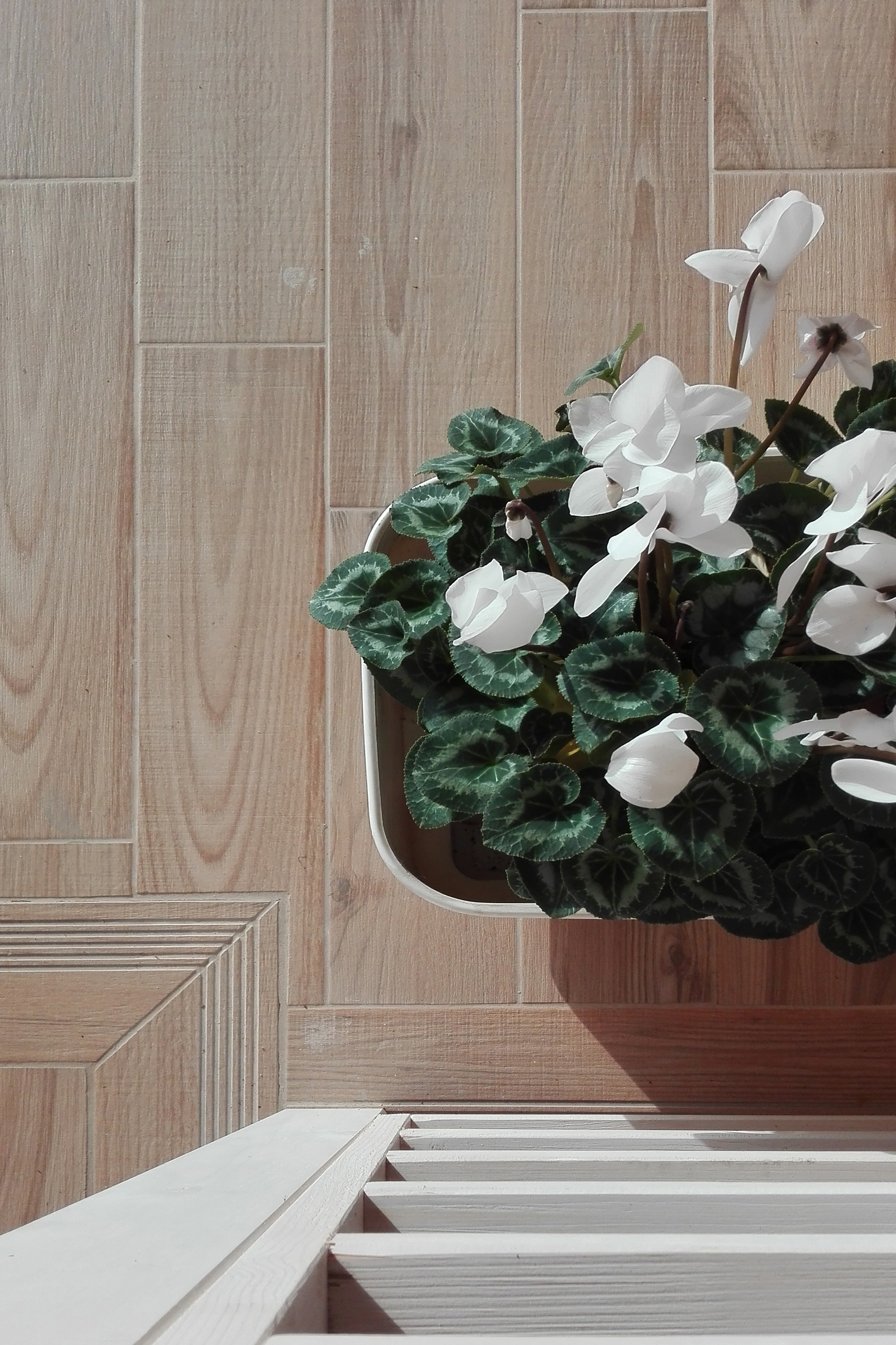 绿色山丘中的家庭住宅 T-12