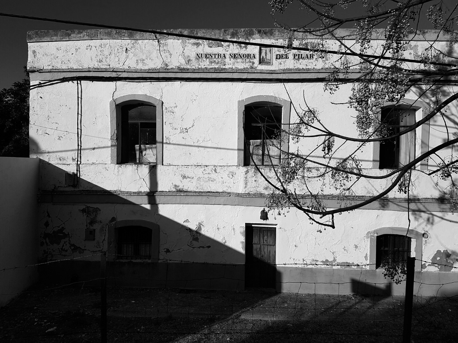 历史果园“El Pilar”的恢复性改造-1