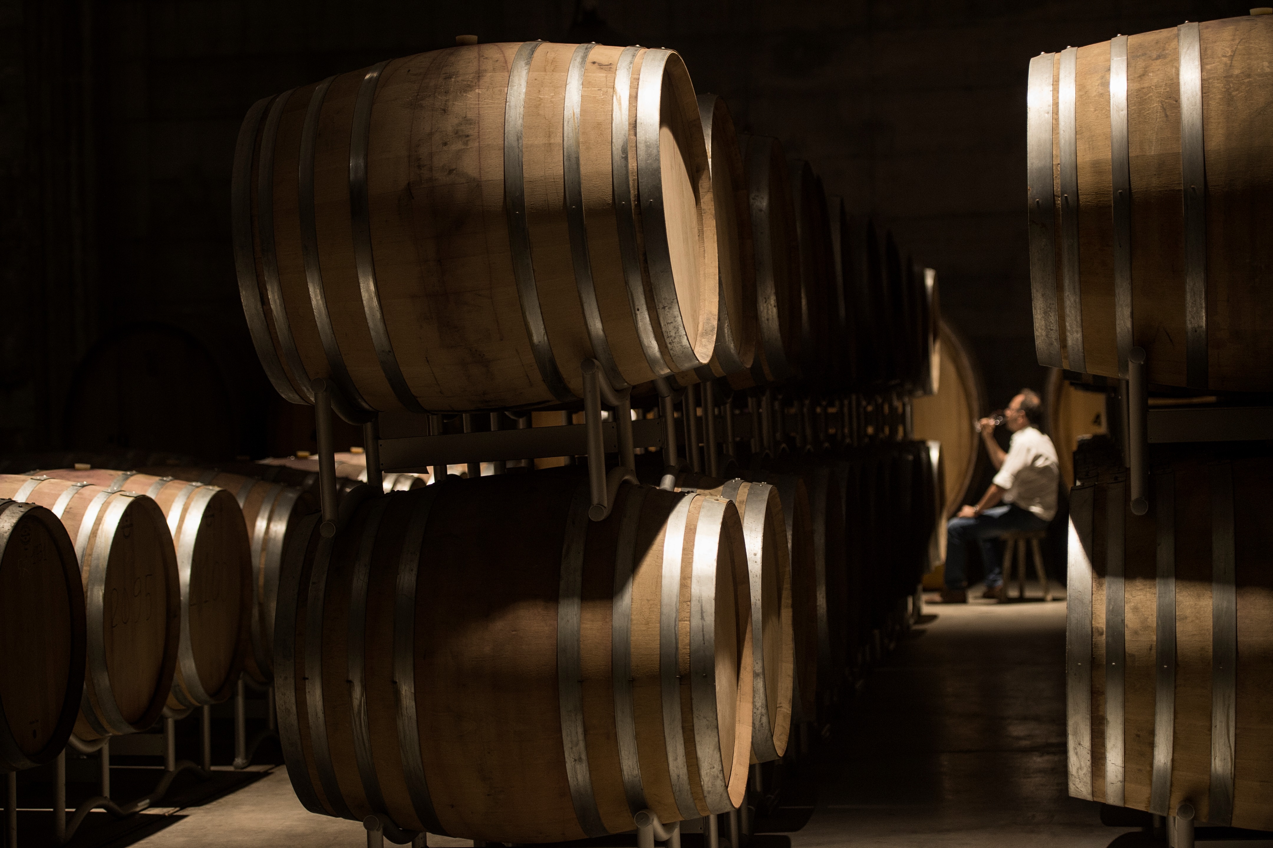 2017 年完成的埃特纳火山阿尔塔莫拉酒厂设计-0