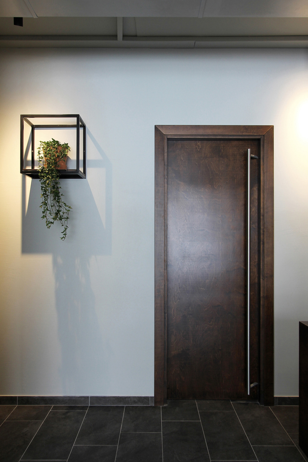 卡瓦列里乌斯-33