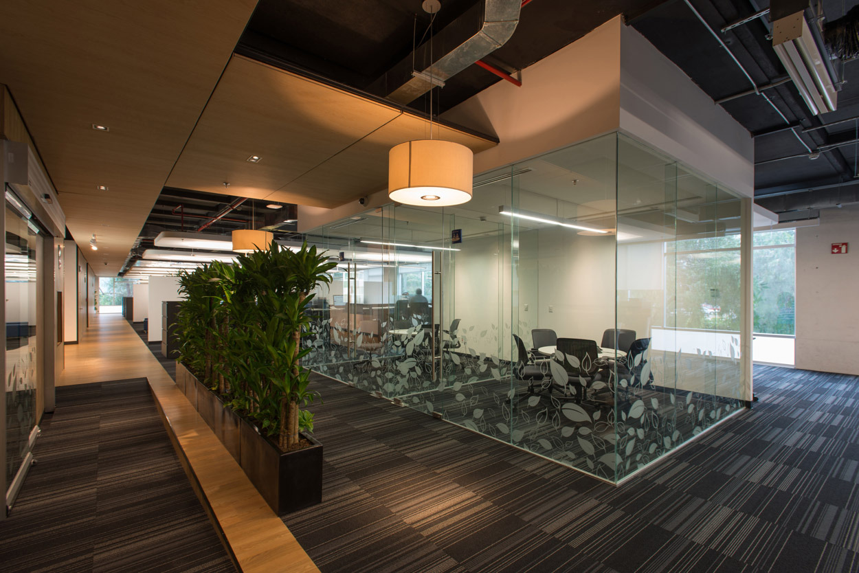 阿克斯亚·克雷塔罗后台办公室-25