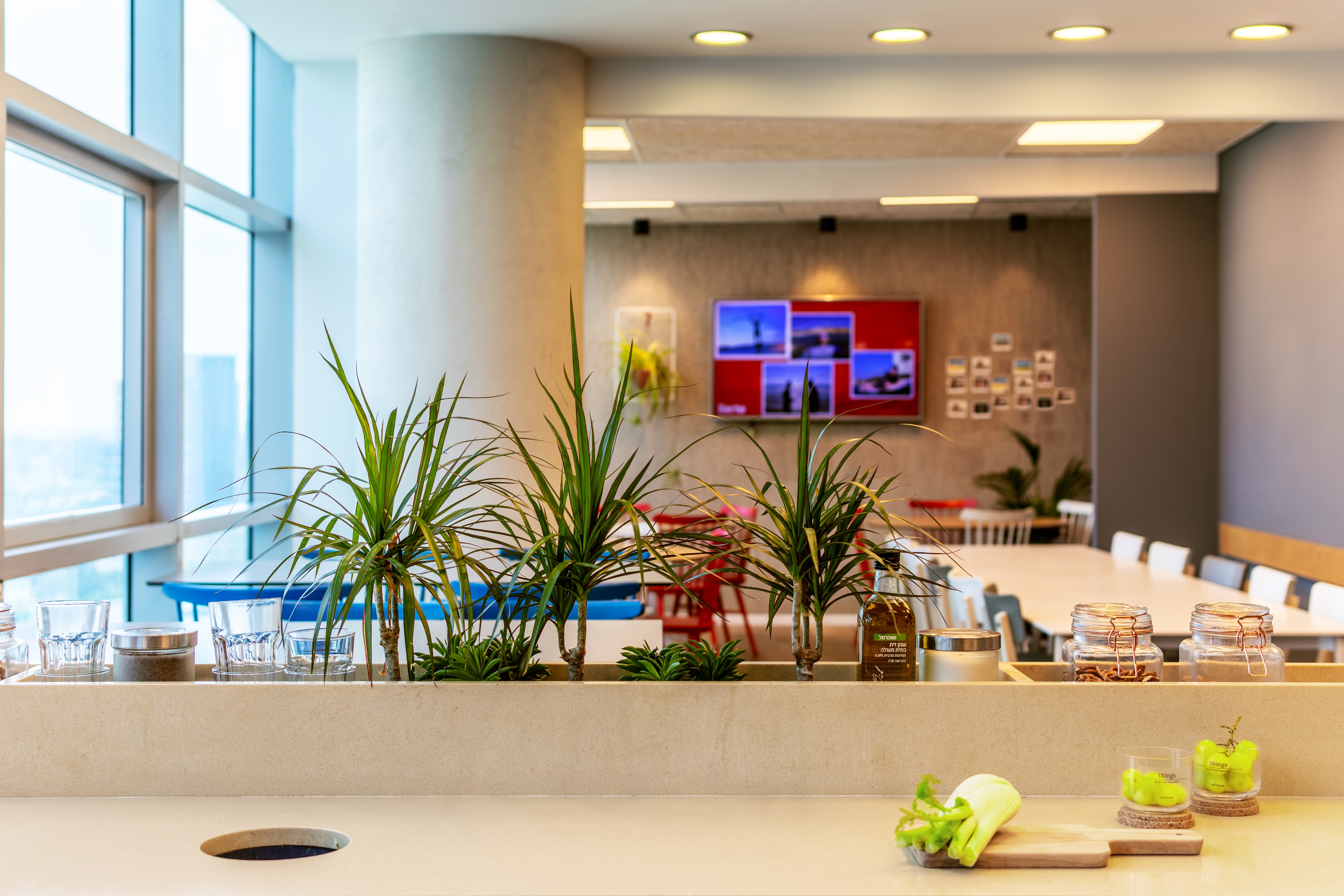 ZERTO 软件公司办公室-6