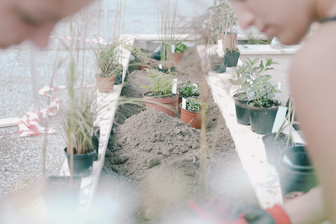 Acropoli 协会 Chiasma#812926 工作坊 · 都市绿洲的再生-9