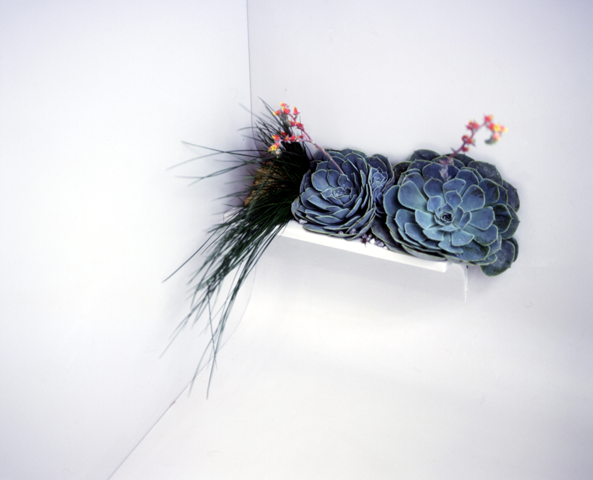 裸体的；赤裸的-6