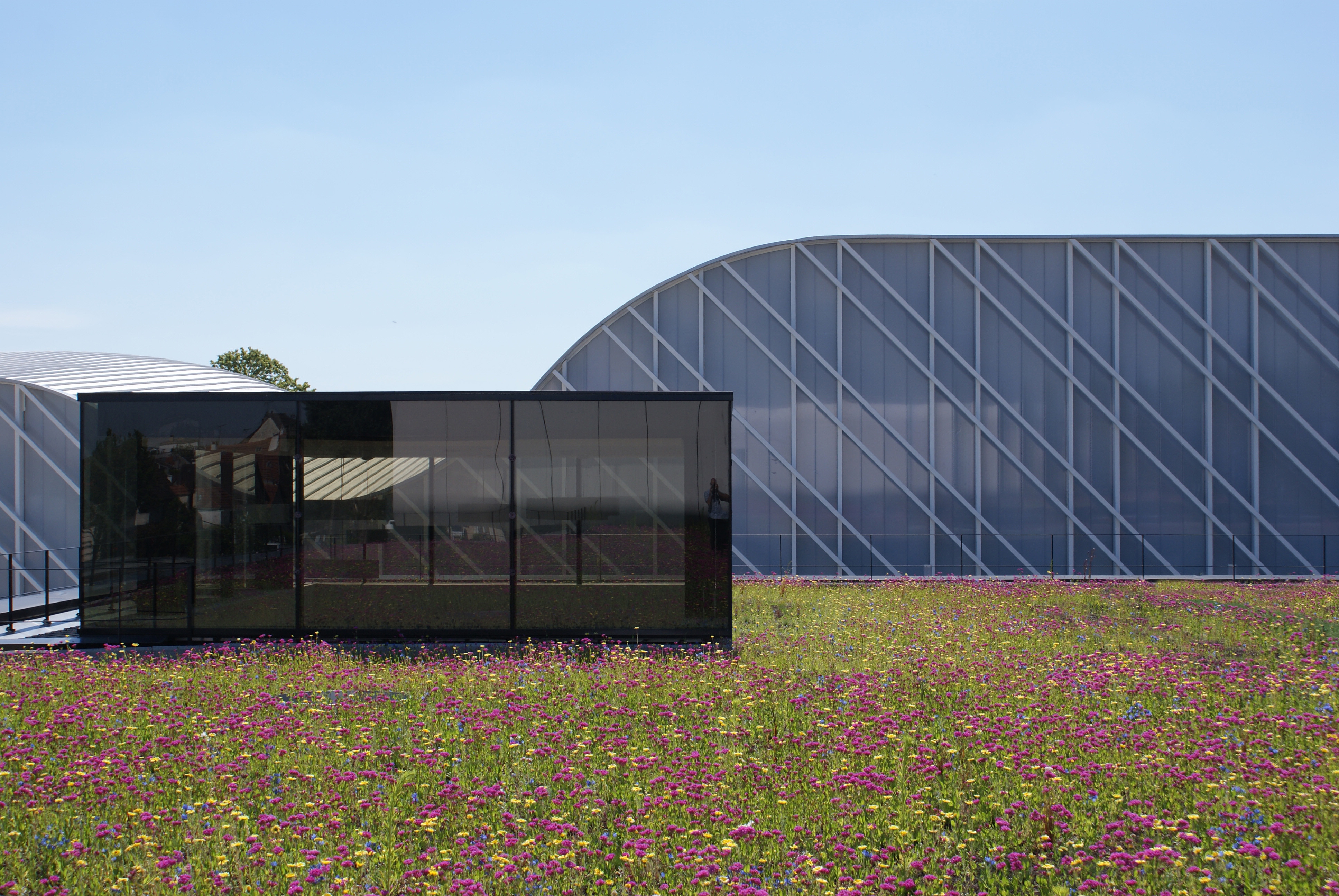 克拉玛特学校群 · 城市景观与教育的和谐融合-26