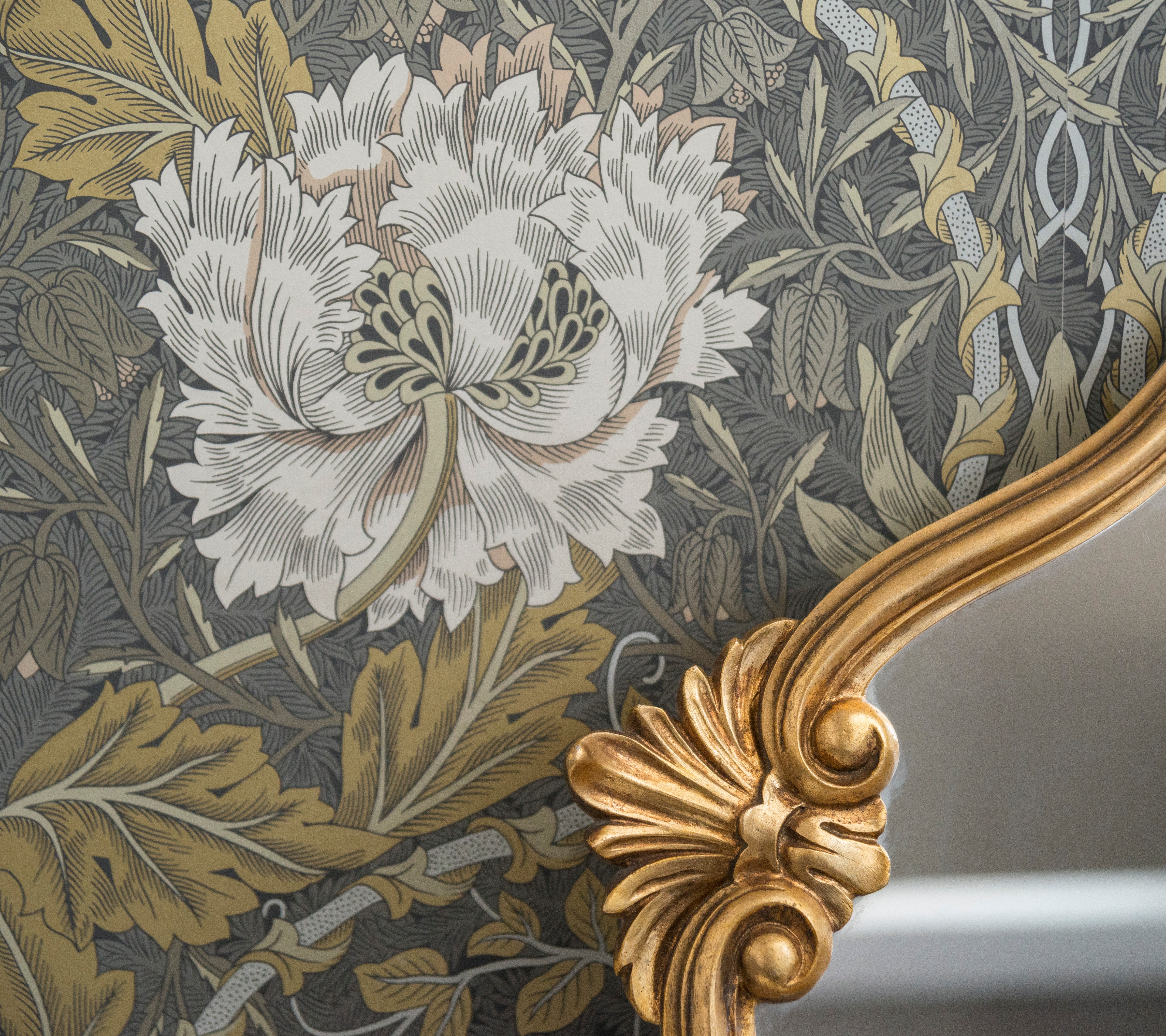 罗马豪华公寓转型成功-10