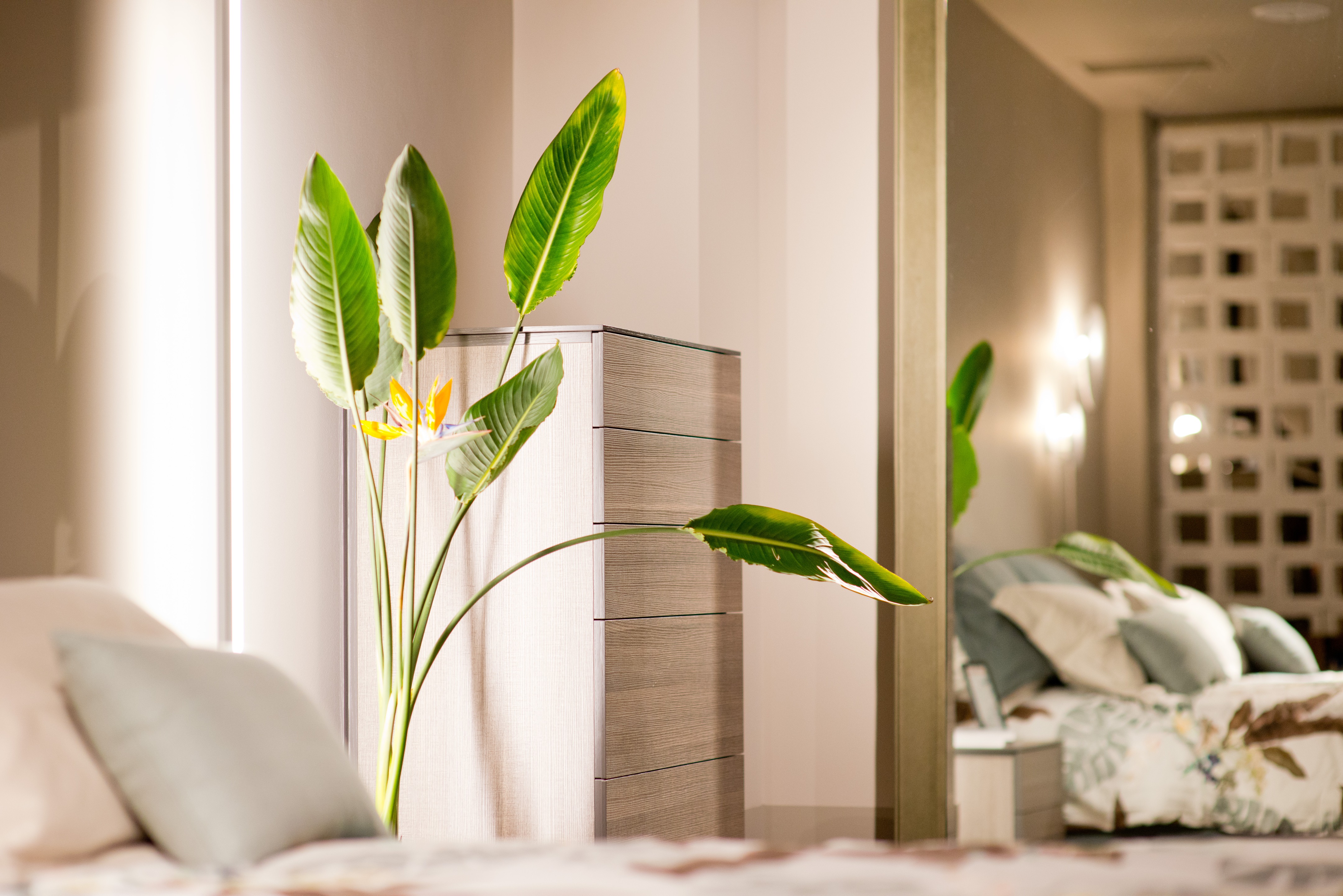 2017 年优质家具展厅设计 | Matimcons LTD GDR Premium-0