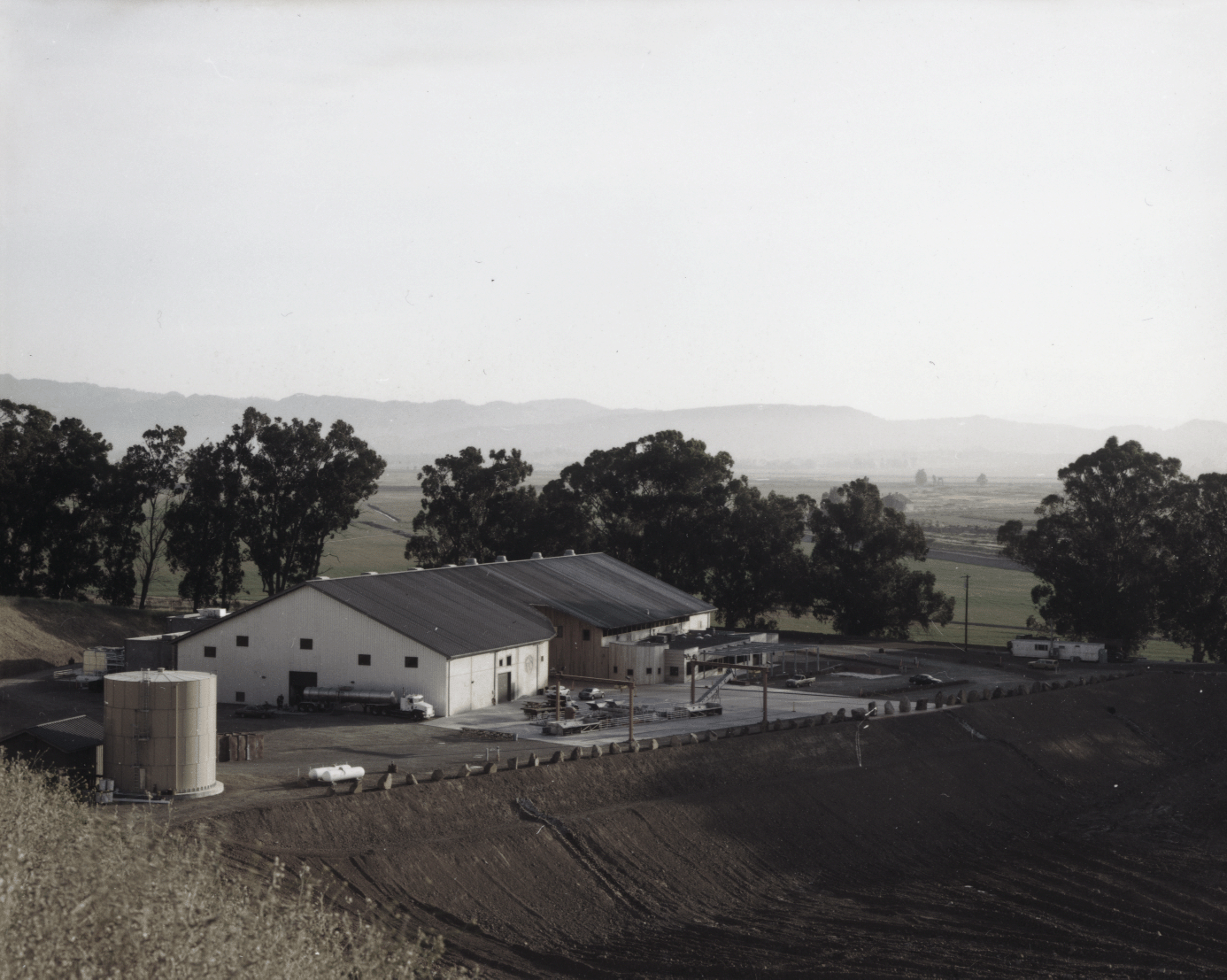 拉文斯伍德酒庄-0