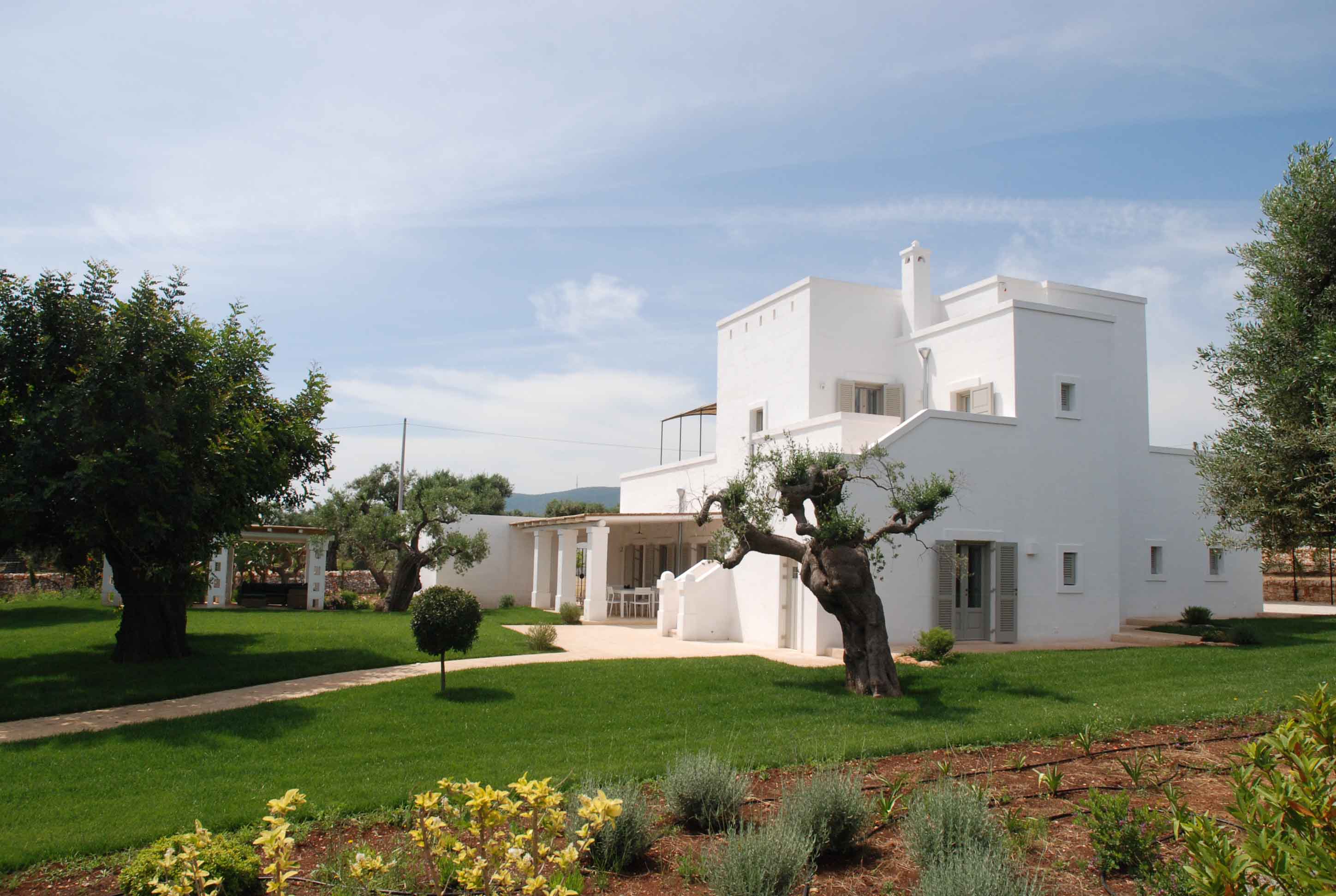 2015 年完成的单家庭住宅复兴之作-1