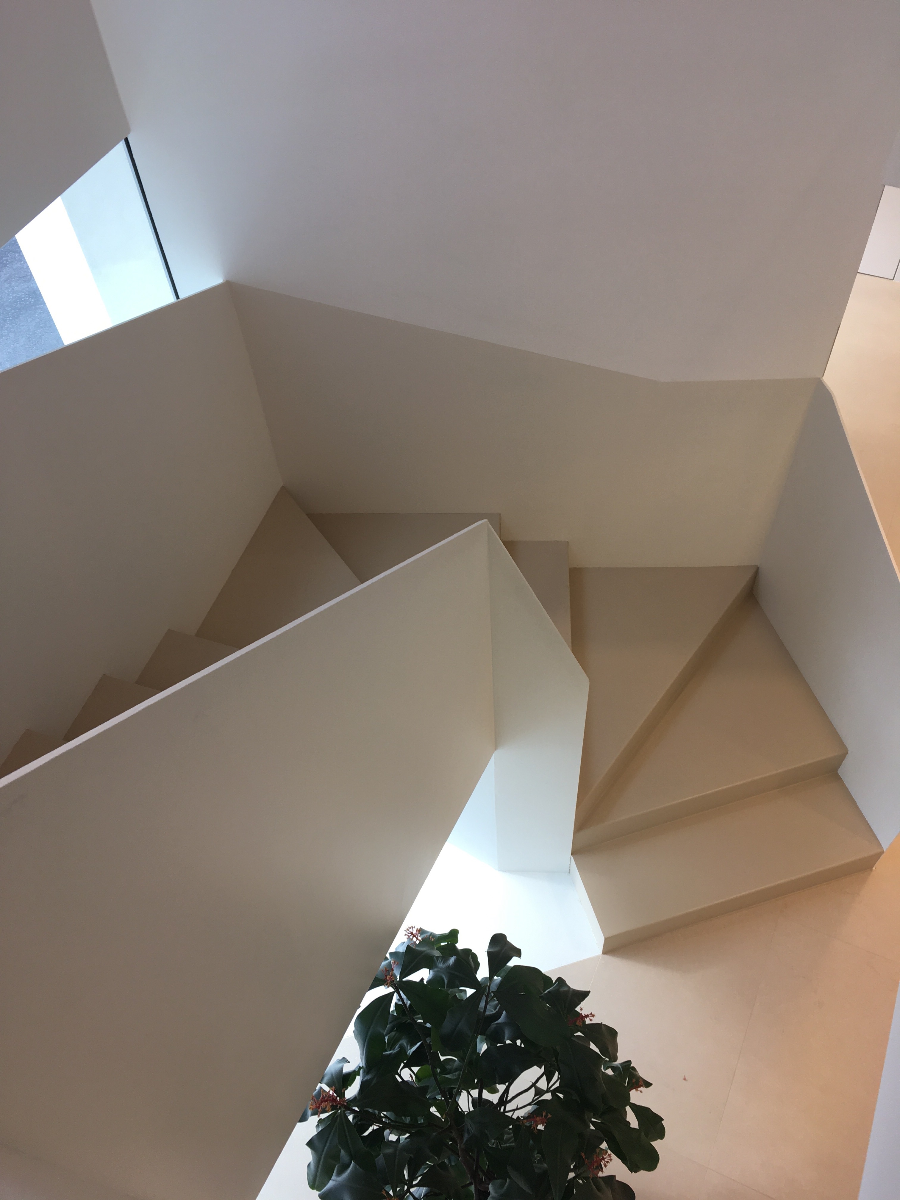 瓦雷泽兽医诊所-11