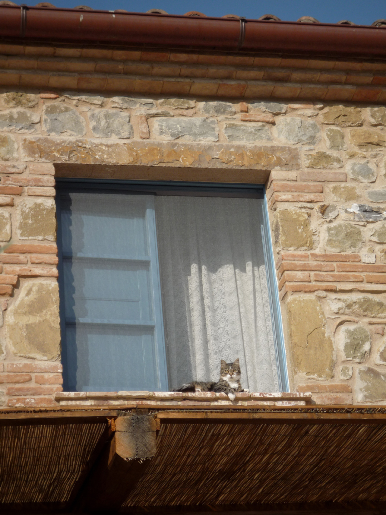 乡间别墅的现代复兴-14