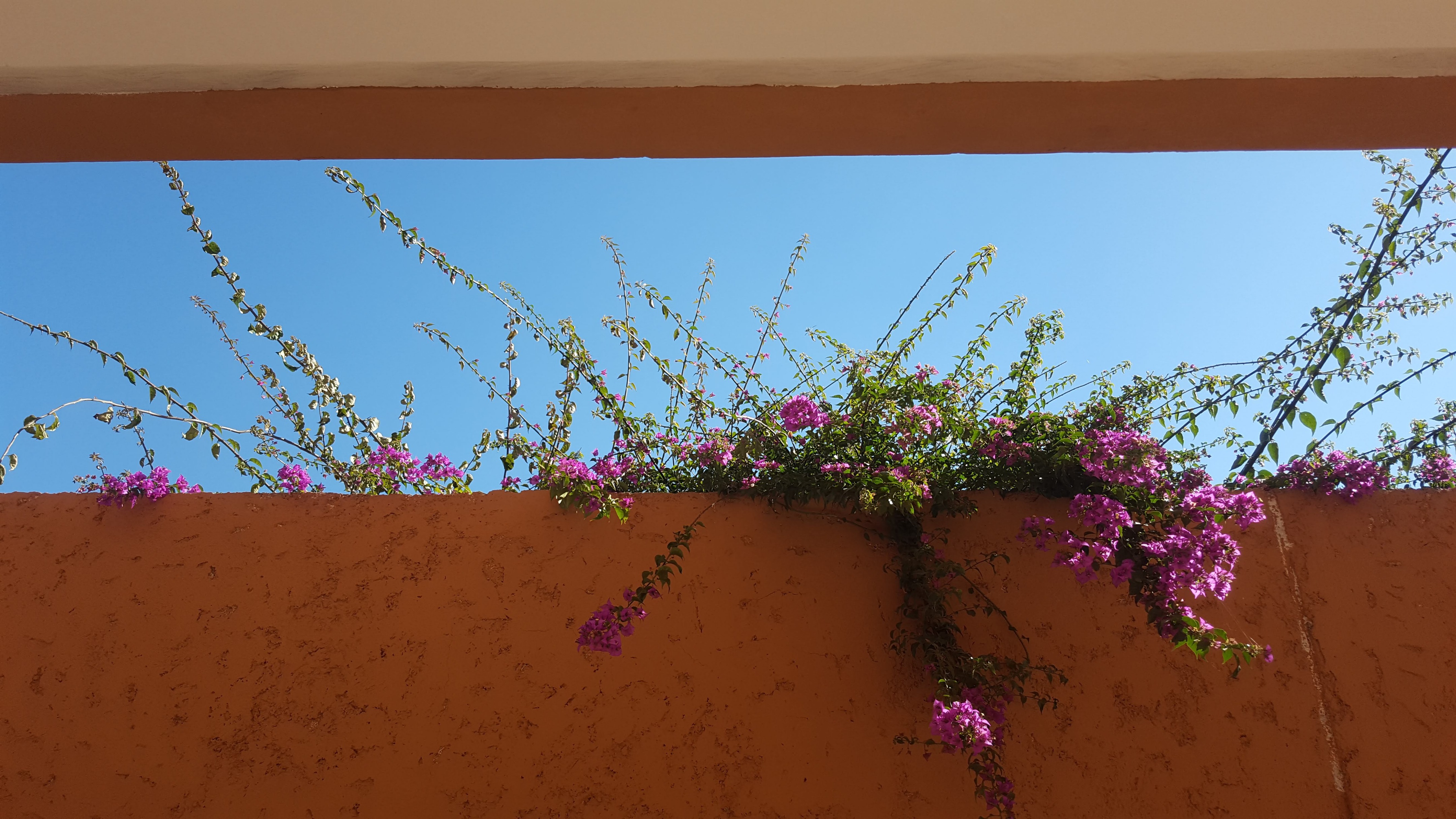 摩洛哥马拉克奇妇女教育中心-2