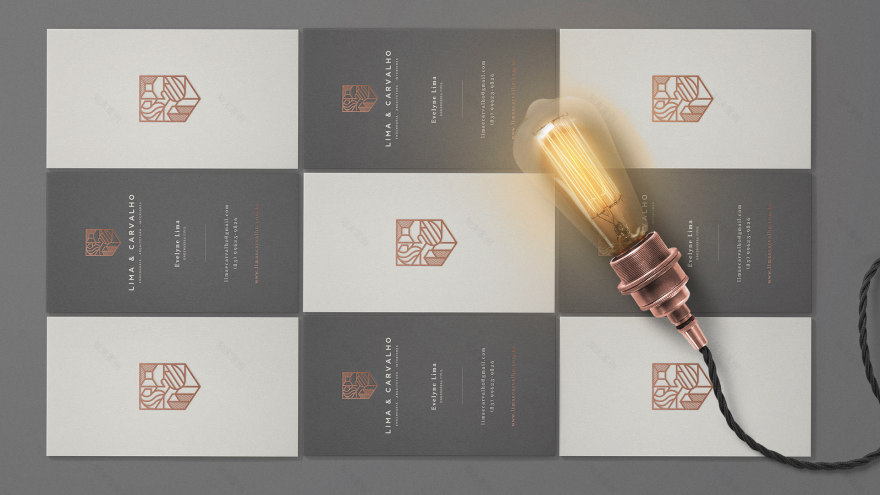 巴西 Lima & Carvalho 工程建筑室内设计-12