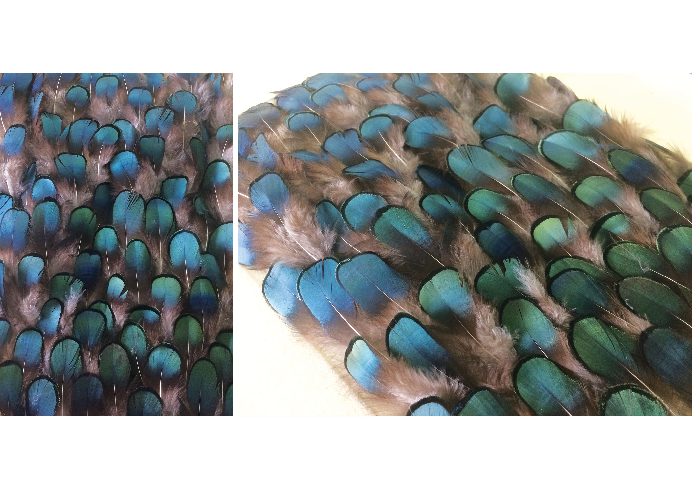 自由空间·2017 设计项目-15