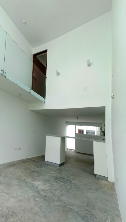 三面宽 3.7 米的空间魔法 | San Isidro 家庭住宅-4