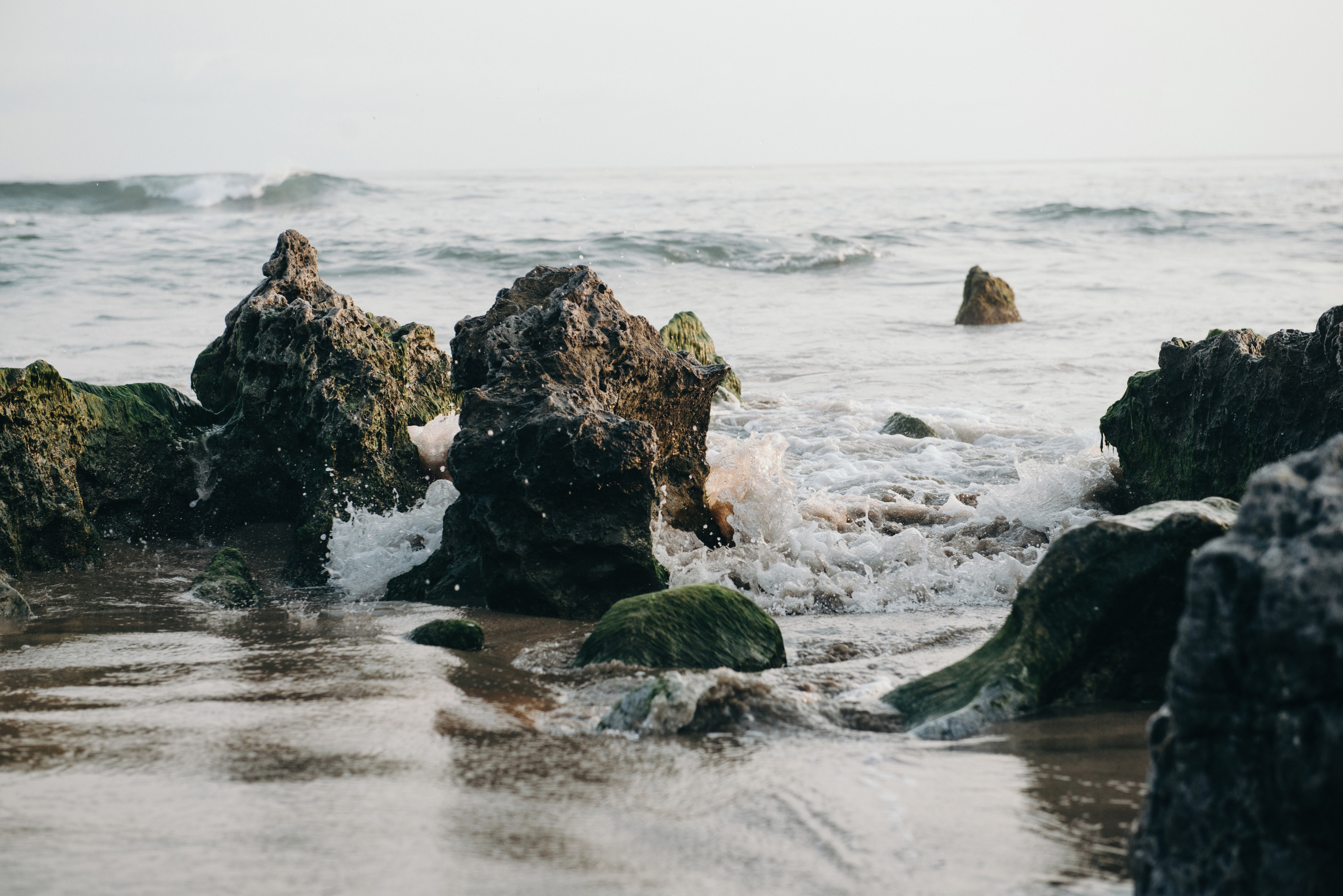 洛塞雷诺海滩之家（特龙科内斯，墨西哥）-20