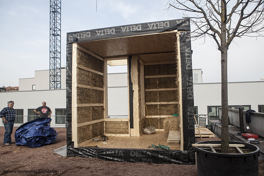 米兰屋顶稻田 · 创新城市农业设计-9