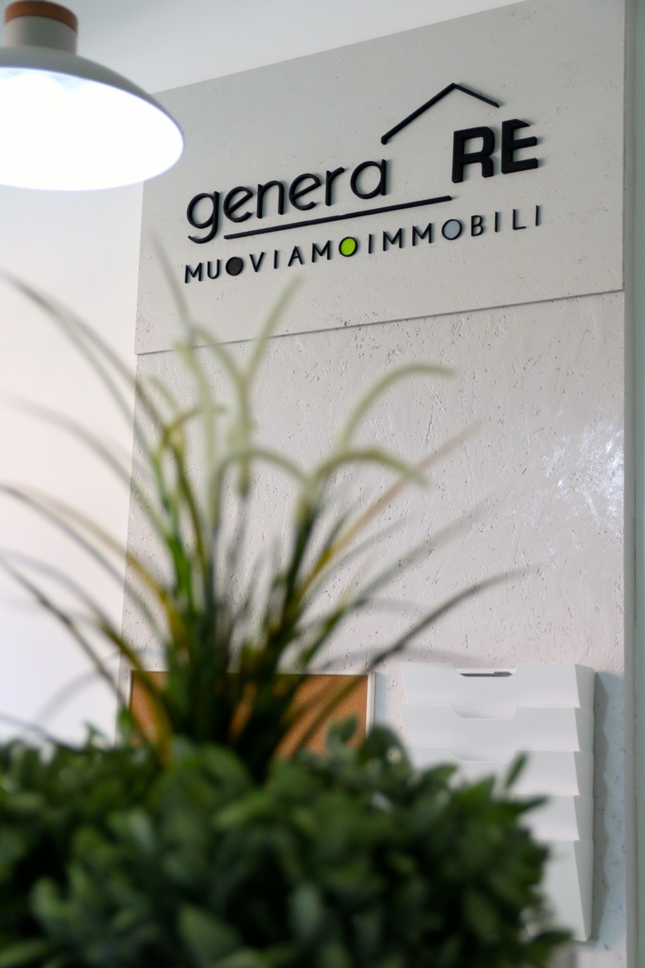 低成本改造办公空间，打造自然和谐的工作环境-1