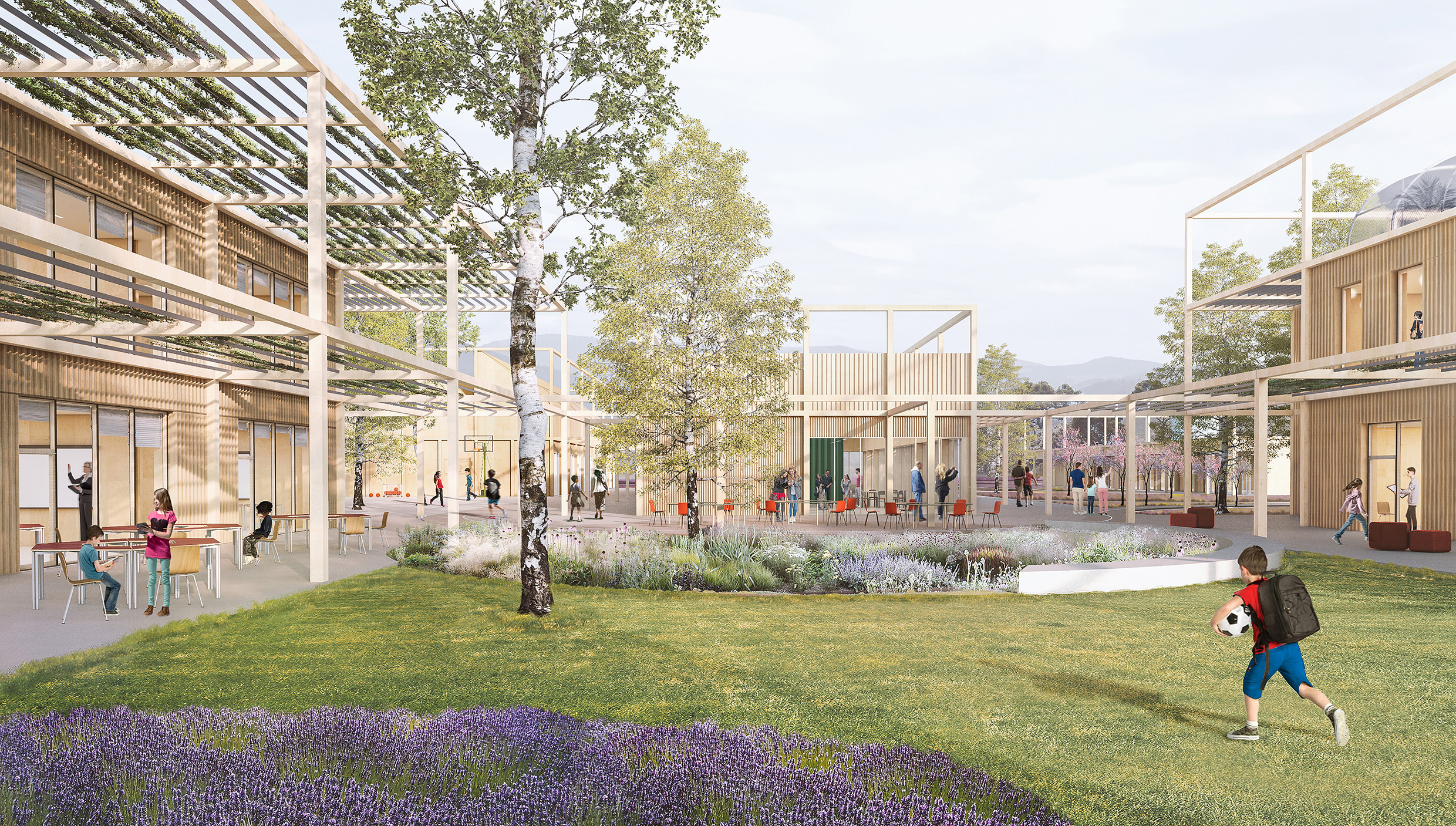 Sassa 学校综合体-2