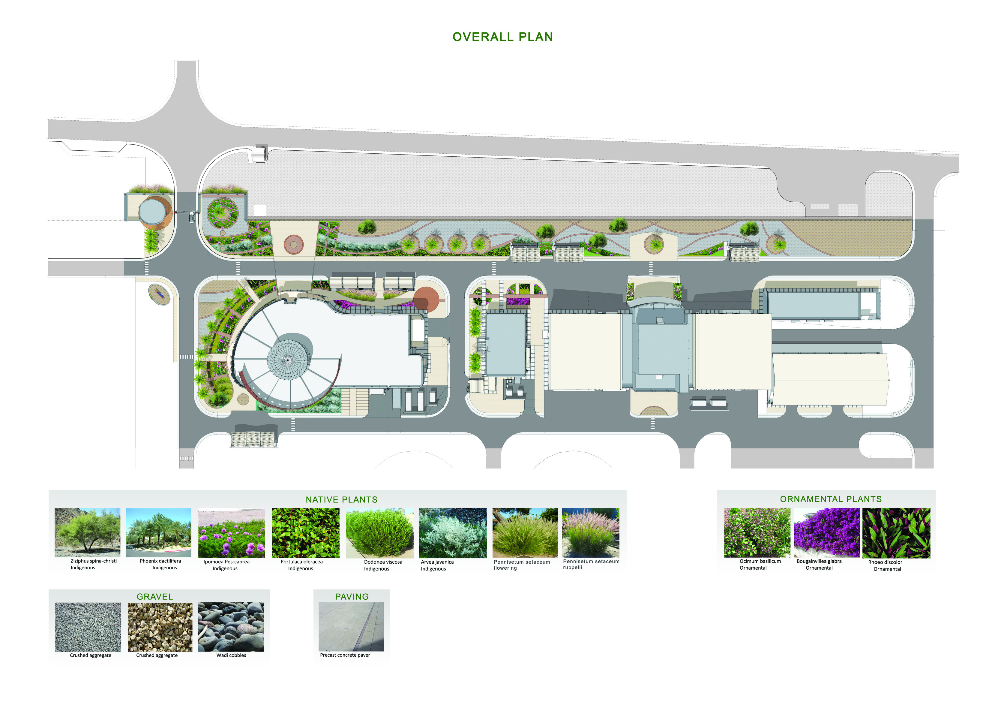 阿布扎比岛屿生态景观设计-11