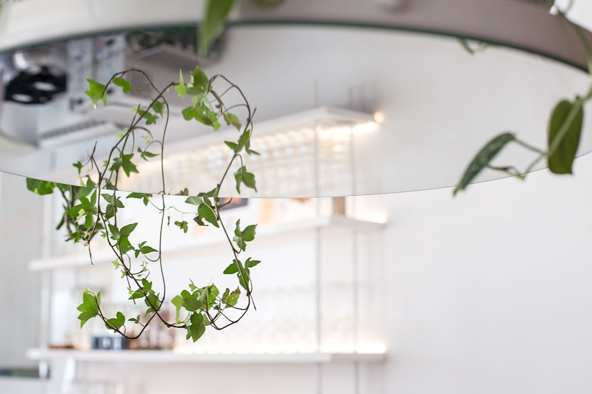 Serbia 咖啡厅 | 金属架构与咖啡色彩的完美融合-19