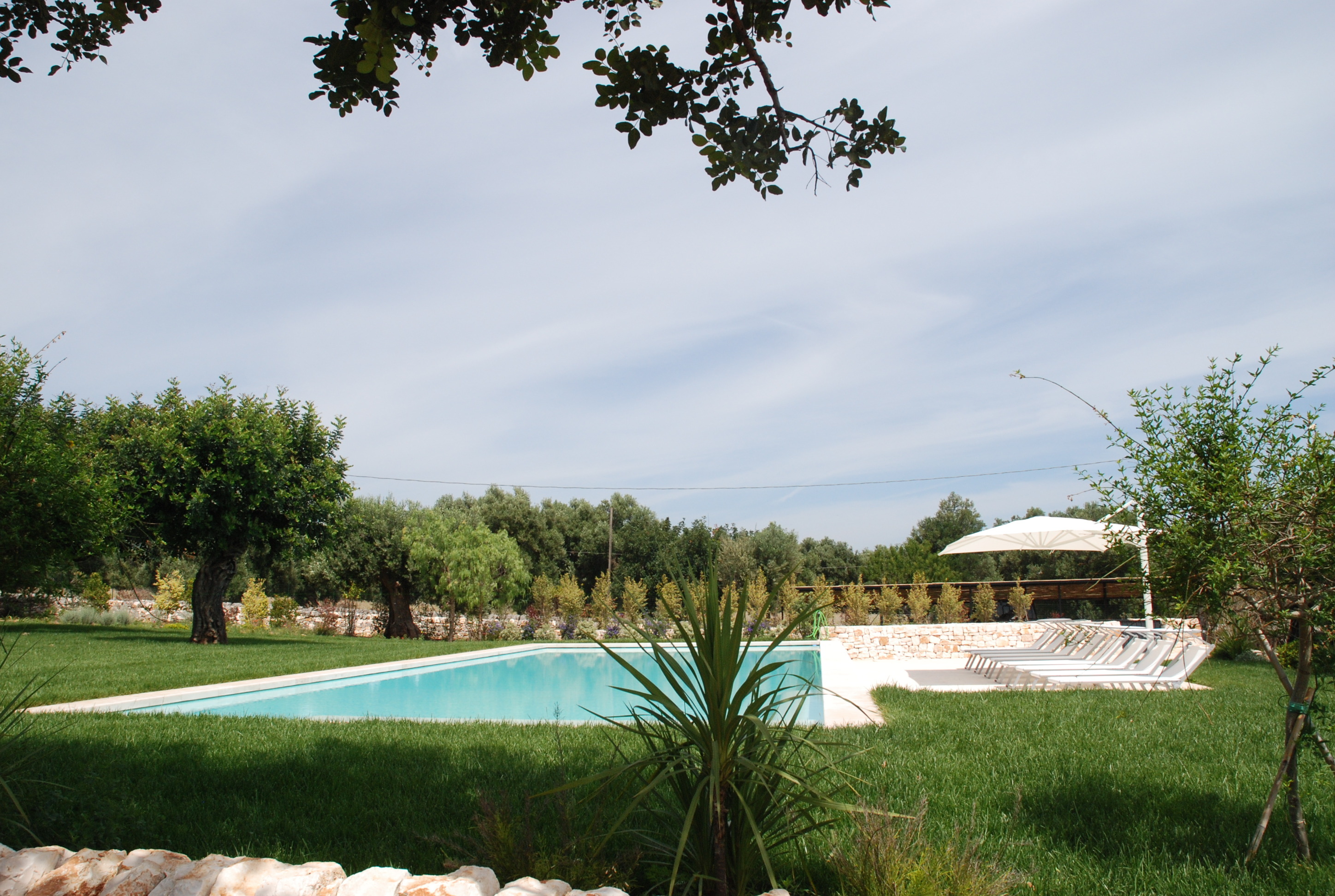 2015 年完成的单家庭住宅复兴之作-12