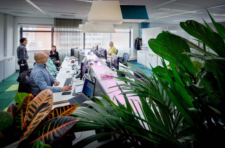 自由全球 Schiphol·Rijk 校区-21