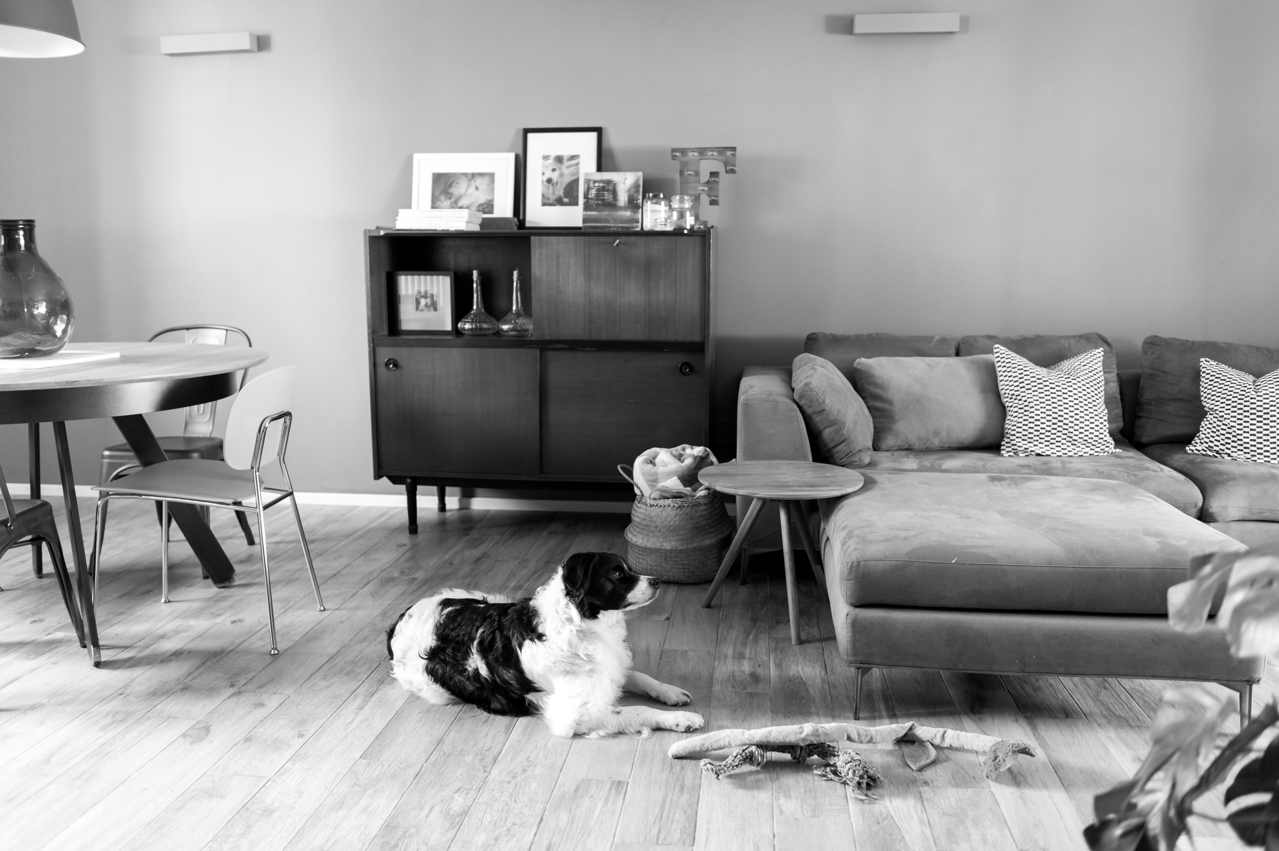 2016 年完成的 F+F+N 公寓室内设计-2