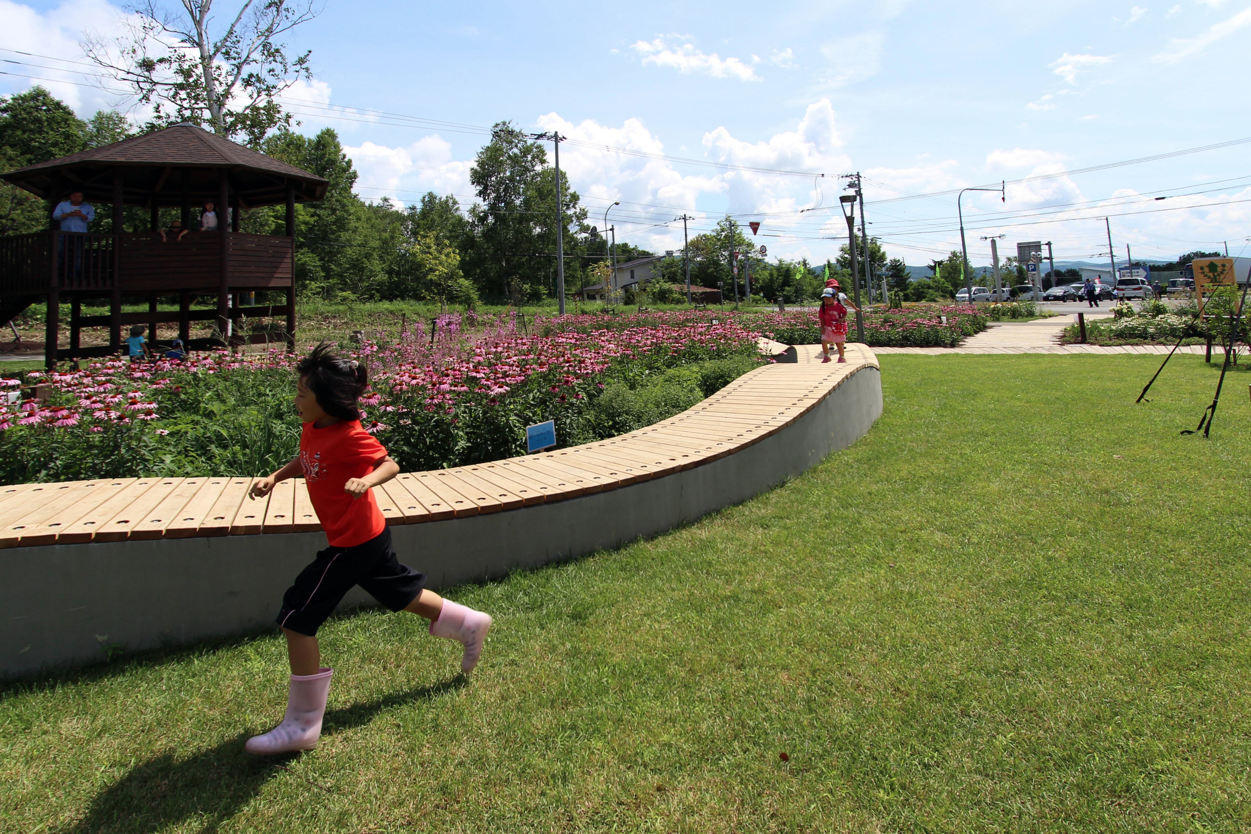 2015 年完成的库鲁米娜公共花园-19