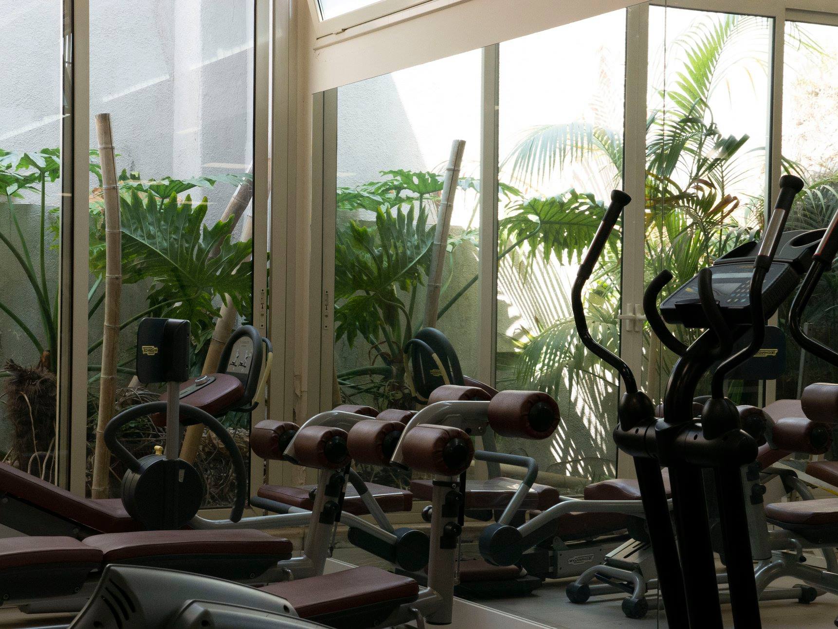 Atlas 健身俱乐部-3