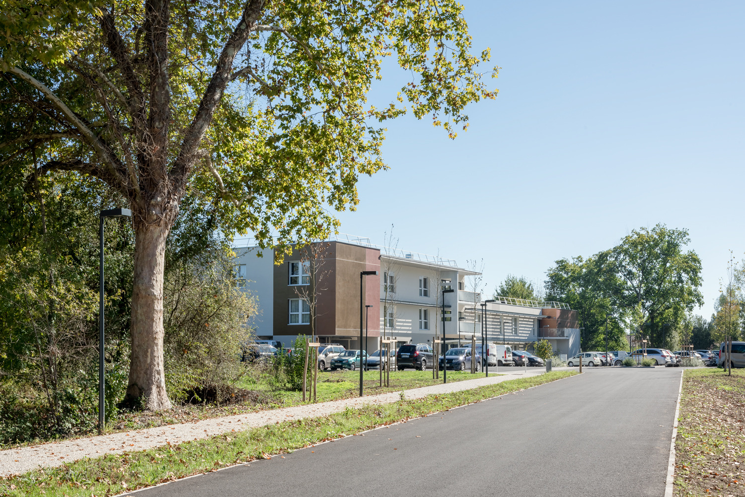 养老医疗中心 Barail | 关爱老年人的温馨家园-63