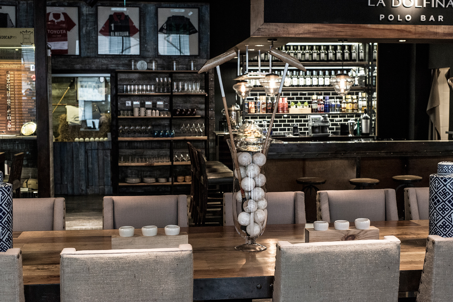 海豚马球酒吧——阿尔科塔宫,布宜诺斯艾利斯,阿根廷-9