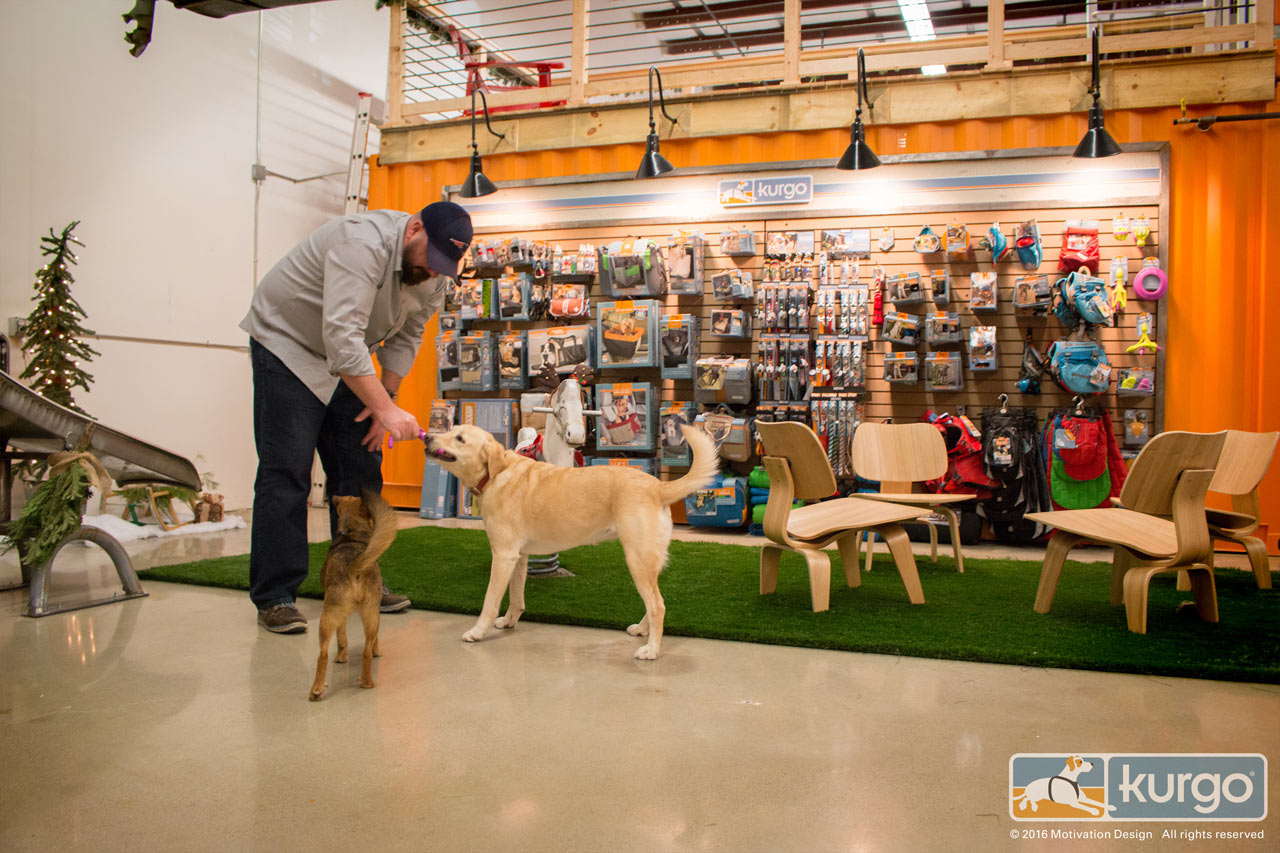 狗友好型办公室设计，趣味无穷-9