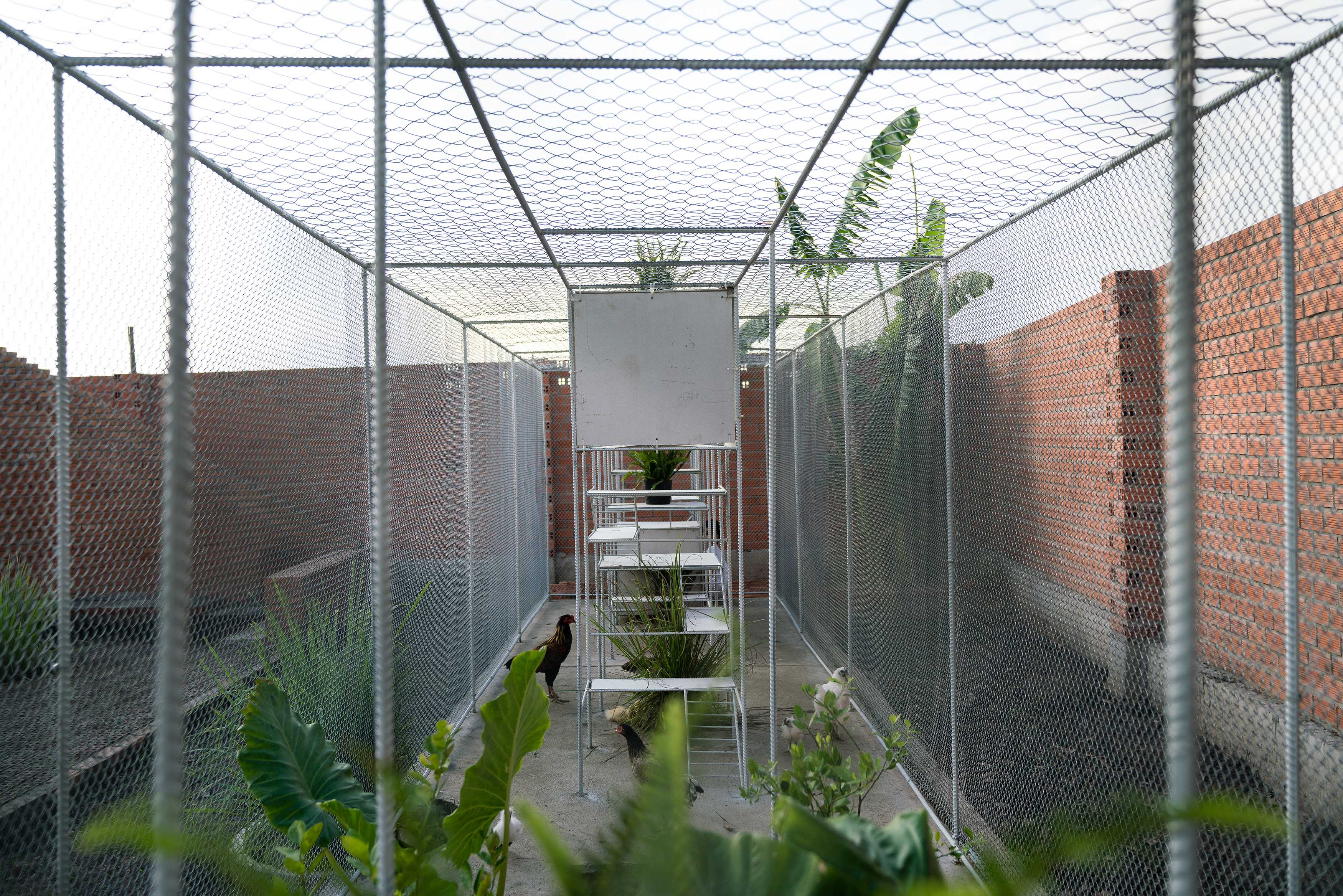 鸡舍建筑,儿童乐趣与自然的融合-17