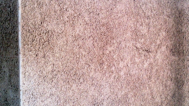 NATURCAP 隔热降噪别墅案例-15