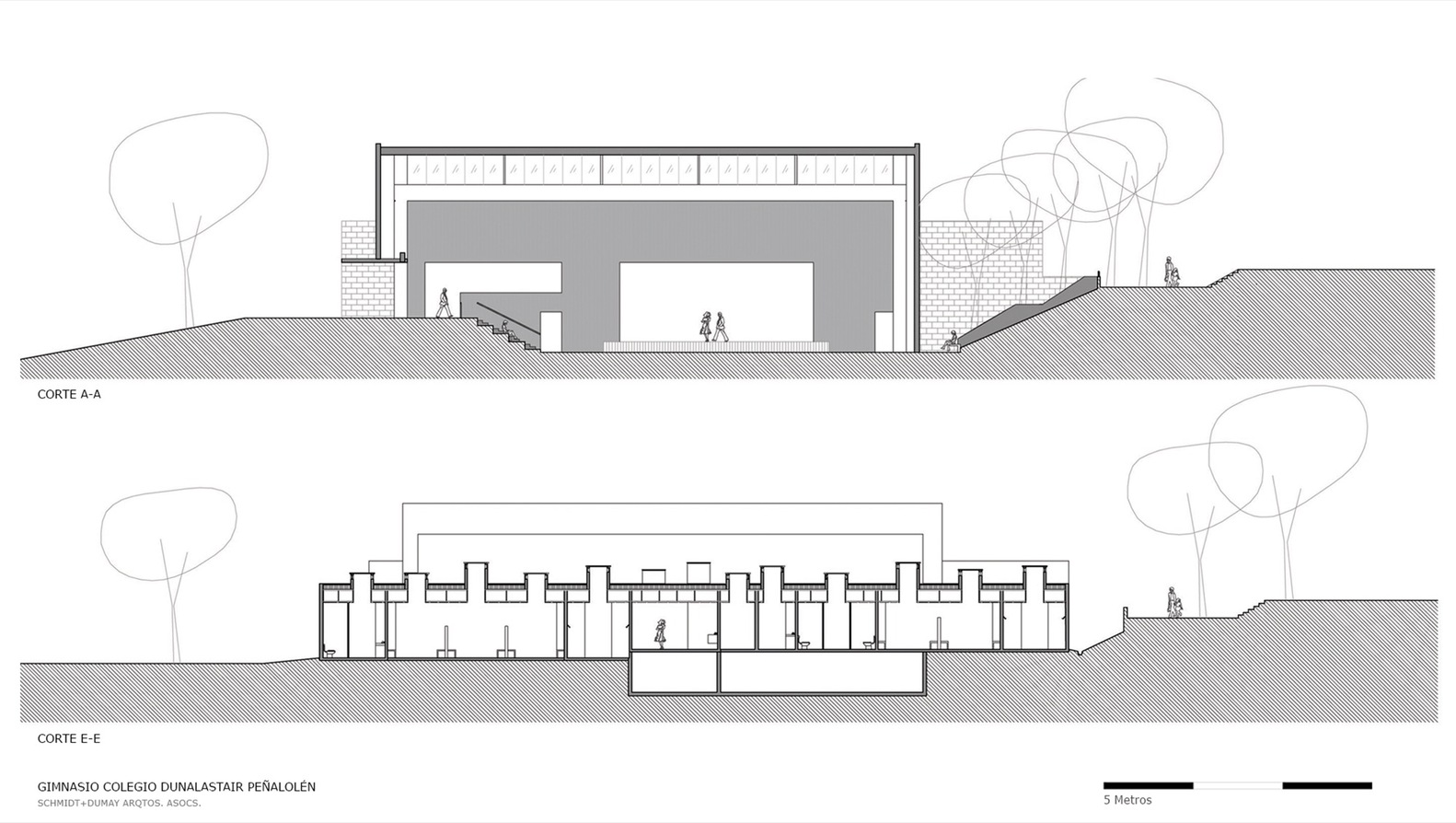 Dunalastair School Gymnasium 室内设计-45