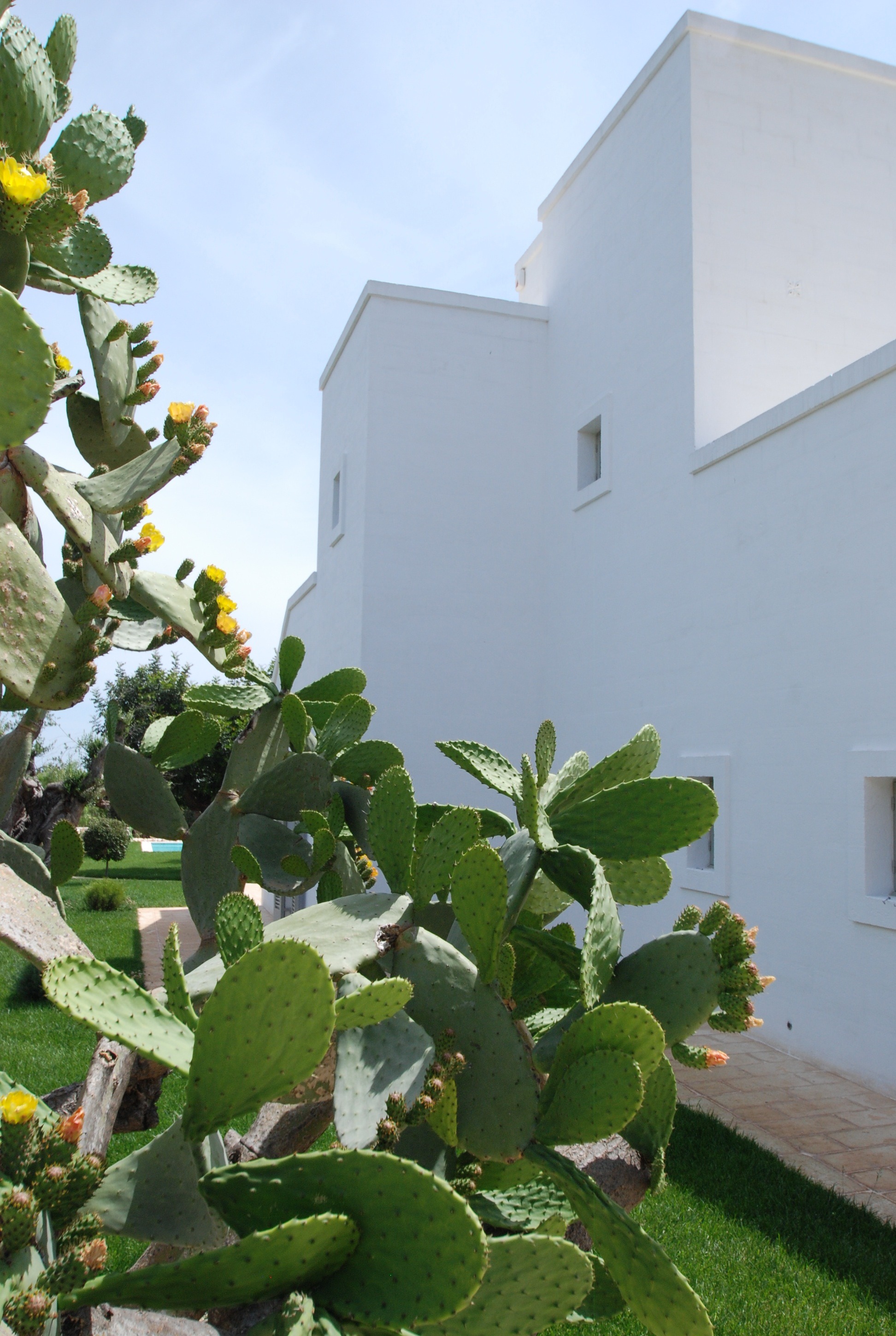 2015 年完成的单家庭住宅复兴之作-13