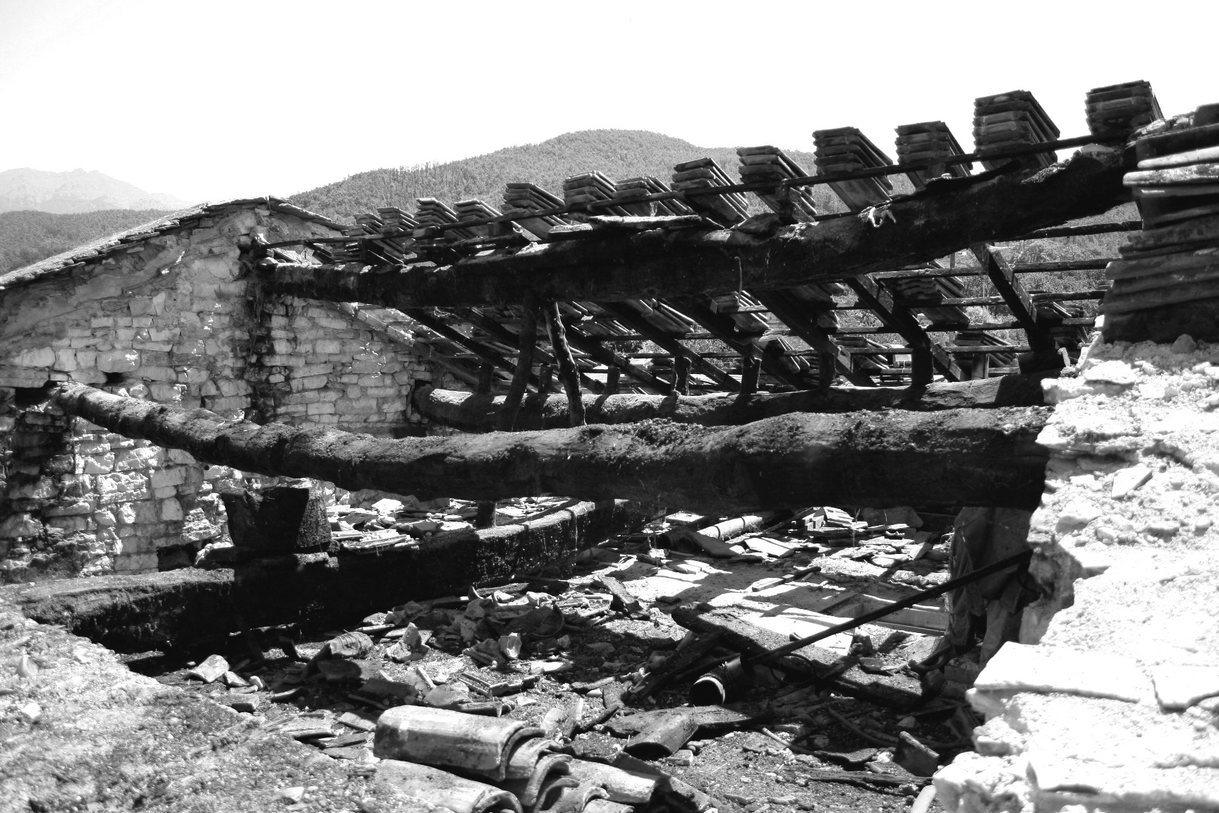 古堡之家的重生-12