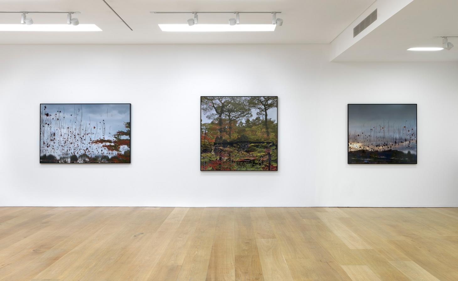 禅意京都 | Ori Gersht 的“浮生世界”摄影展-11