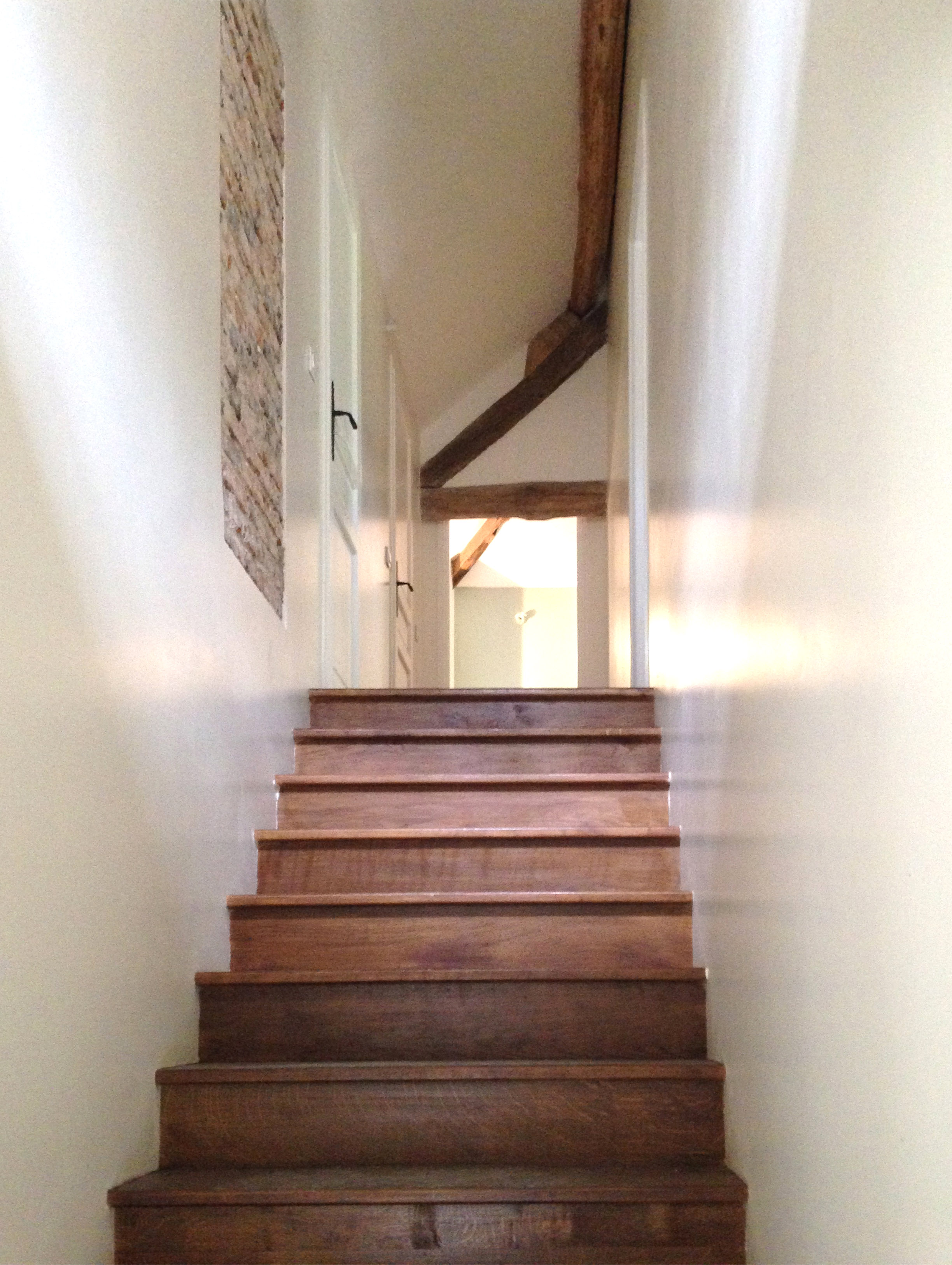 湖边猎屋的现代改造-21