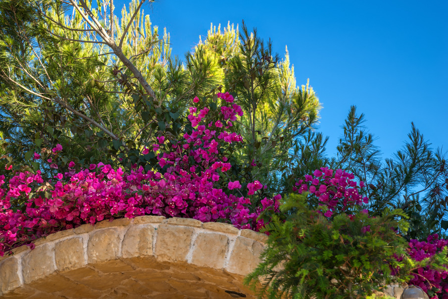 希腊奢华别墅，打造梦幻度假胜地-21