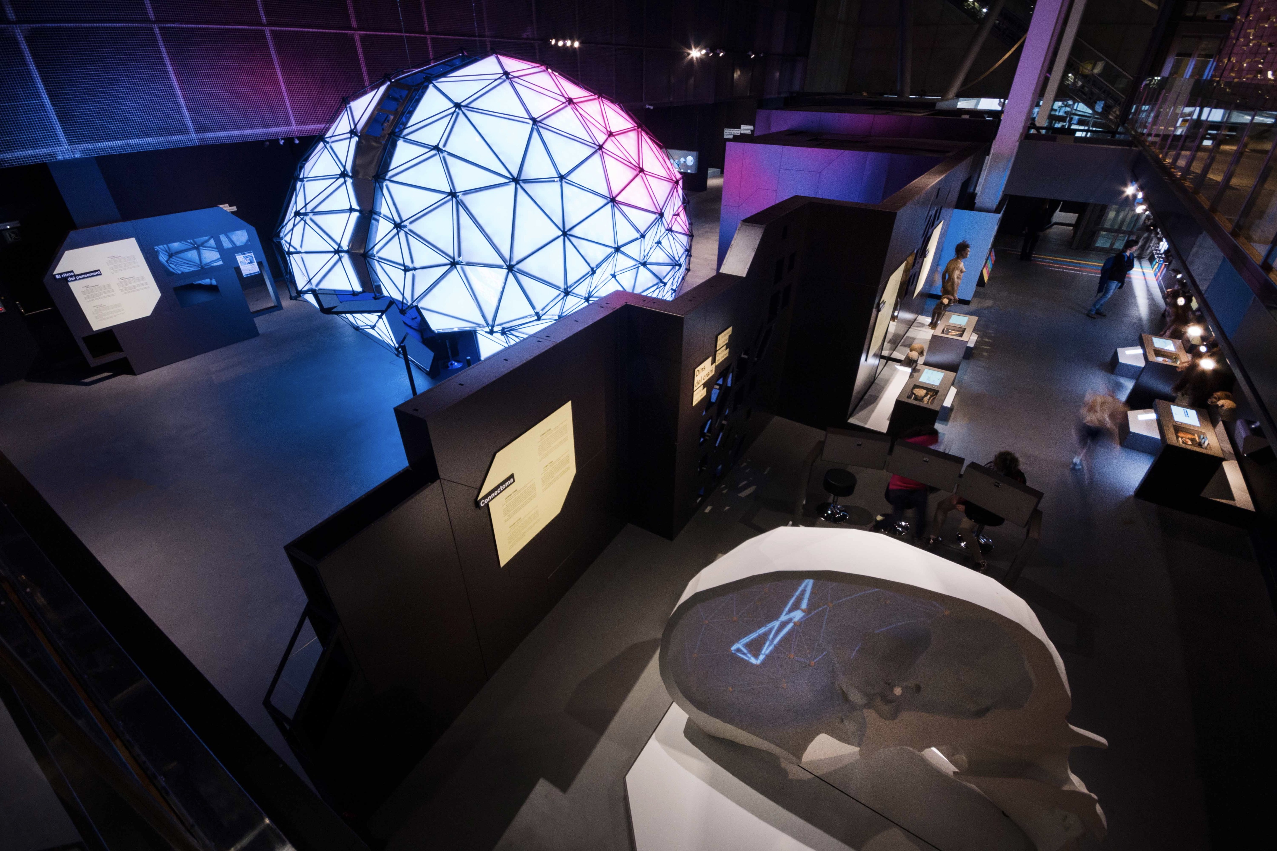 Talking Brains 展览设计-46